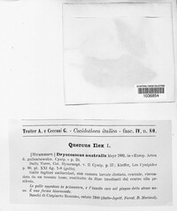 Image Associated With the Occurence